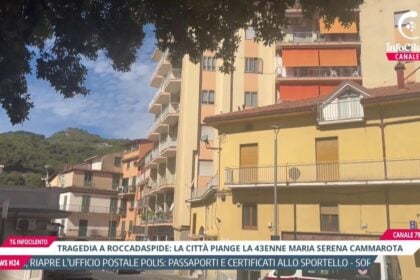 Tg InfoCilento 14 settembre 2026, edizione delle 13.55