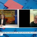 Marrone di Roccadaspide IGP: al via la raccolta, appello del Consorzio