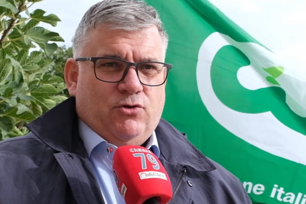 Aree interne del Cilento: agricoltura e sostenibilità per contrastare lo spopolamento