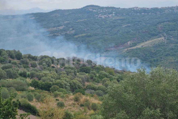 Incendio a San Nicola di Centola: bruciati quattro ettari di macchia