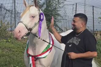 Equitazione, trionfo per Agropoli: lo stallone di Vito Marotta è campione d’Italia a Travagliato