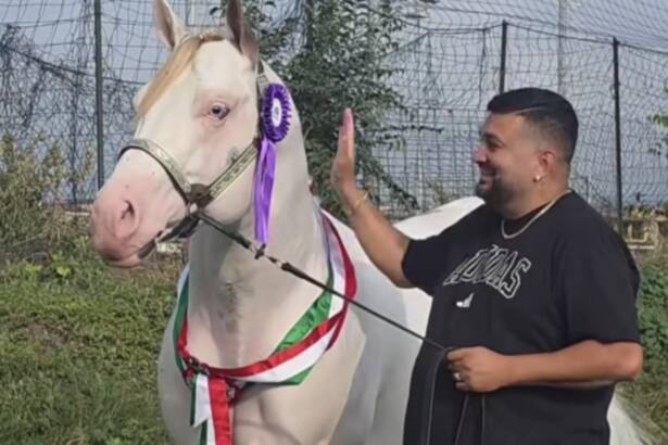 Equitazione, trionfo per Agropoli: lo stallone di Vito Marotta è campione d’Italia a Travagliato