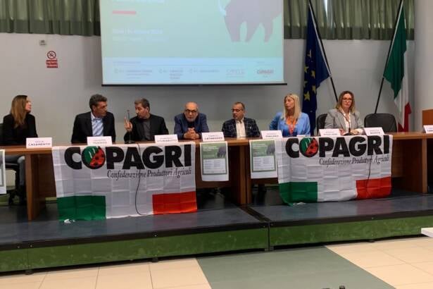 Filiera bufalina: 30 milioni per l’innovazione nella Piana del Sele