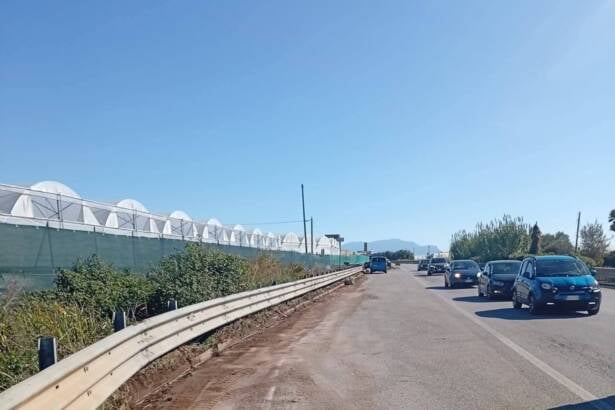 Sicurezza e decoro sulla SP 417 “Aversana”: via ai lavori di manutenzione