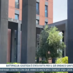 Tg InfoCilento 31 ottobre 2026, edizione delle 13.55