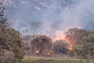 Incendio a Capaccio Paestum: fiamme nella zona rurale del Capoluogo, caschi rossi in azione