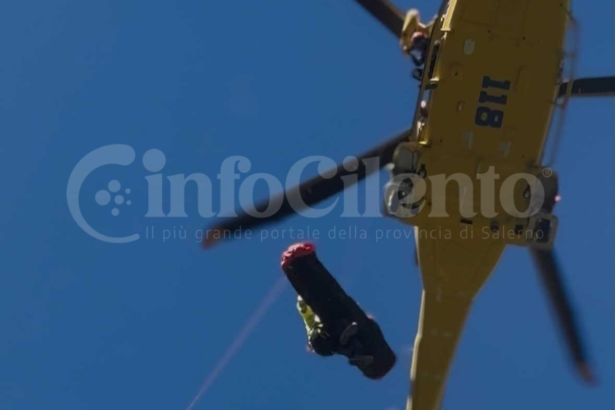Laviano, grave incidente nel bosco: 60enne colpita da un albero finisce nel burrone