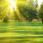 Estate 2026 record di caldo: ad Agropoli urgente il piano per il verde urbano