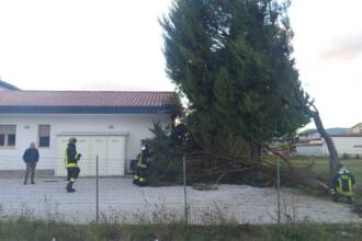 Crollo albero Sala Consilina