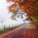 Almanacco 23 ottobre 2026: meteo, eventi e santo del giorno