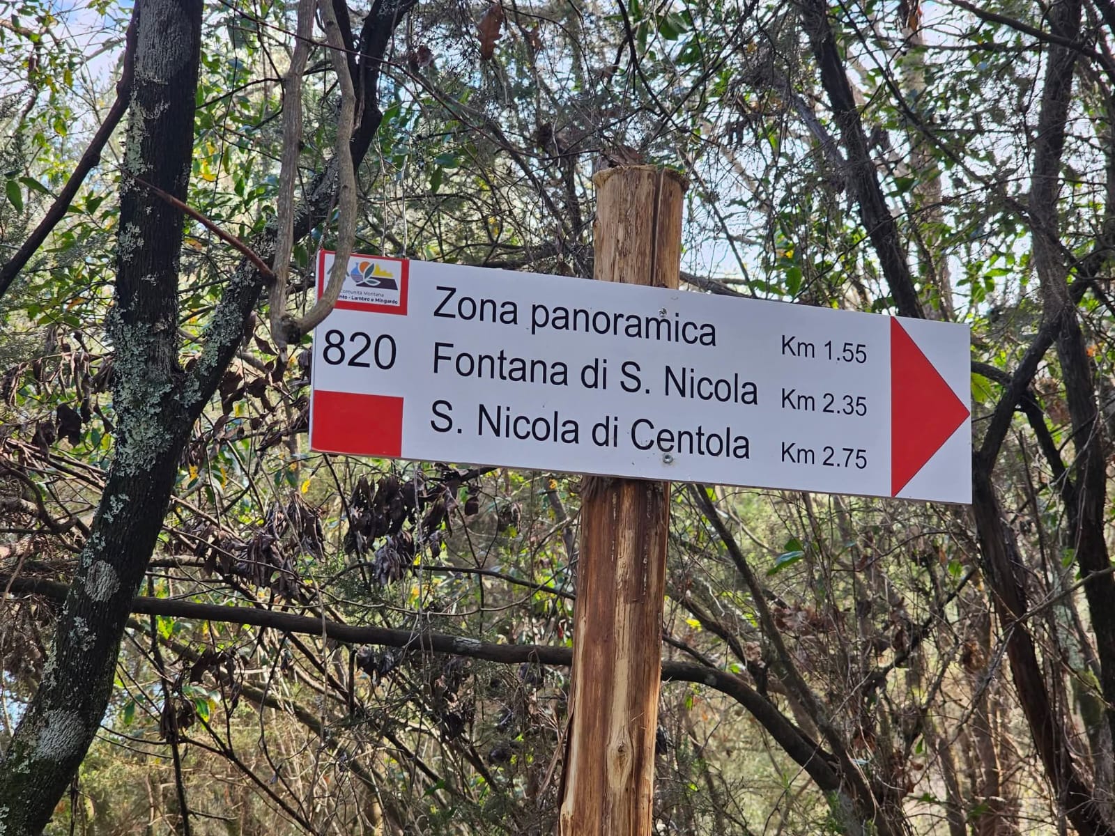 Soccorsi sul Cammino di San Nilo: escursionista ferita tra Palinuro e San Mauro