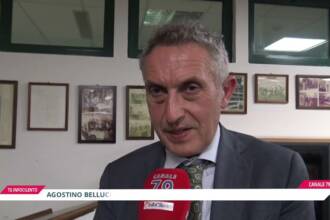 TSO: avvocato obbligatorio dopo la Consulta. Convegno a Vallo della Lucania