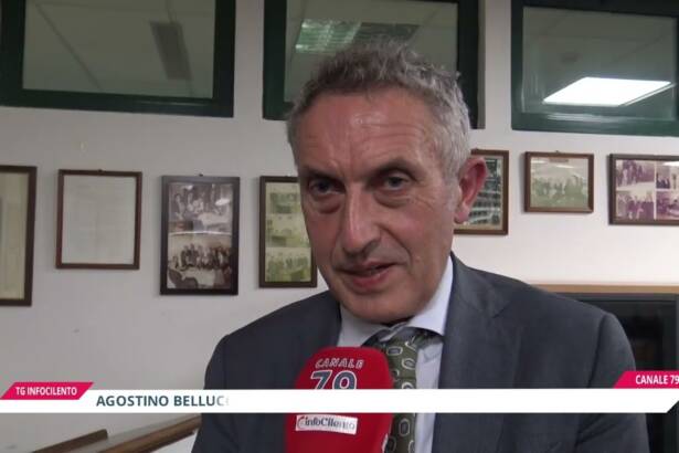 TSO: avvocato obbligatorio dopo la Consulta. Convegno a Vallo della Lucania