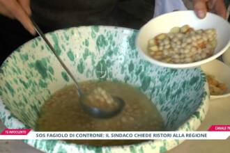 Siccità negli Alburni, Fagiolo di Controne a rischio: il Comune chiede l’intervento della Regione