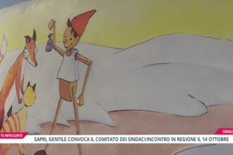 Punto Nascita Sapri: convocato vertice decisivo in Regione Campania