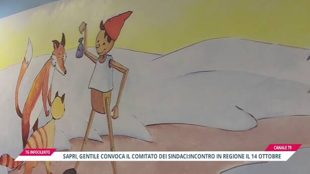 Punto Nascita Sapri: convocato vertice decisivo in Regione Campania
