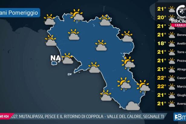 Tg InfoCilento 23 ottobre 2026, edizione delle 13:55