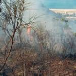 Ascea, vasto incendio in località Piano della Torre: in corso le operazioni