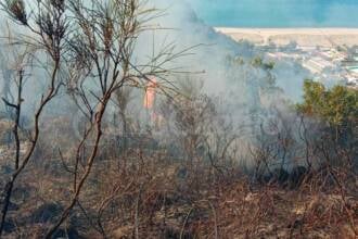 Ascea, vasto incendio in località Piano della Torre: in corso le operazioni