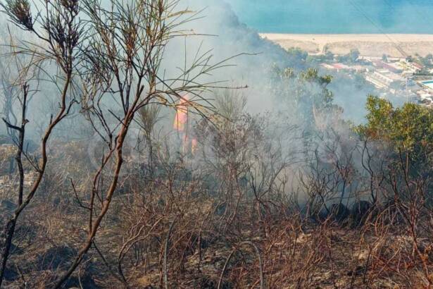 Ascea, vasto incendio in località Piano della Torre: in corso le operazioni