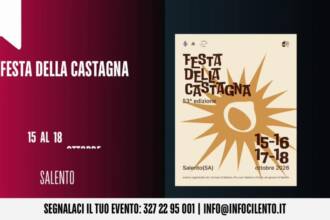 Tg InfoCilento 16 ottobre 2026, edizione delle 19.55