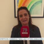 Distretto “Sinus Laus”: 225mila euro per il commercio del Golfo di Policastro