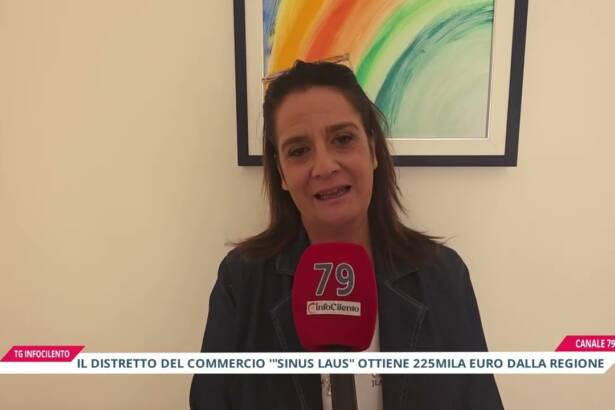 Distretto “Sinus Laus”: 225mila euro per il commercio del Golfo di Policastro
