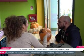 Tg InfoCilento 10 ottobre 2026, edizione delle 13:55