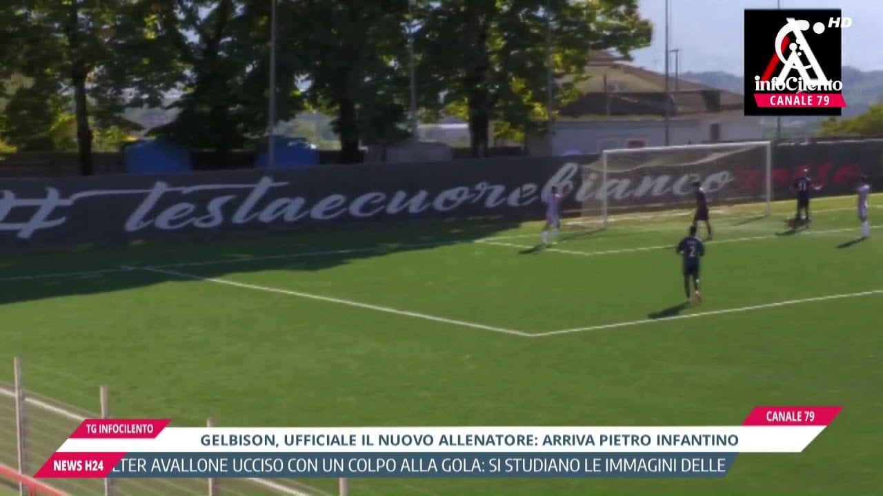 Tg InfoCilento 14 ottobre 2026, edizione delle 13:55