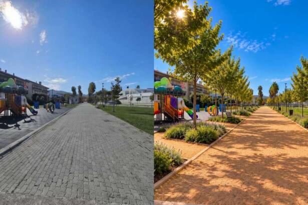 Parco Liborio Bonifacio: dopo le 802 firme, Agropoli Sostenibile propone 20 nuovi alberi e meno cemento