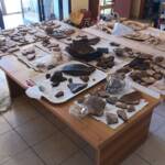 Archeologia nel Vallo di Diano: nuove scoperte alla Grotta Colombo