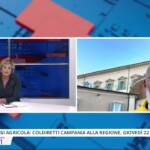 Crisi agricola: Coldiretti Campania chiede lo stato di crisi