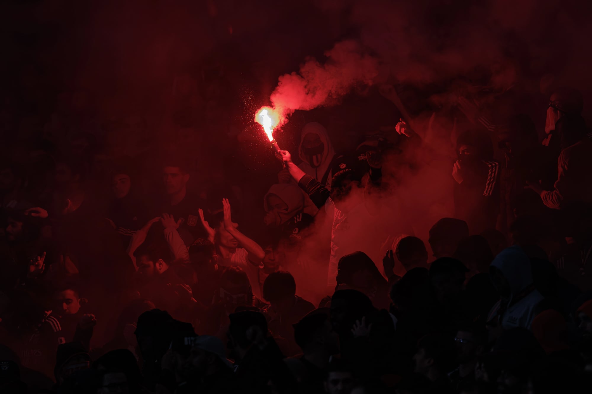 Tifosi