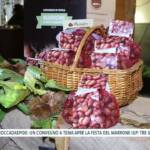Roccadaspide: festa della Castagna e del Marrone IGP, tre giorni tra gusto, cultura e tradizioni nel Cilento