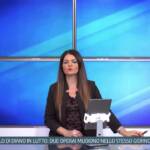 Tg InfoCilento 8 ottobre 2026, edizione delle 19:55