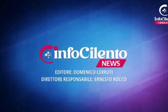 Tg InfoCilento 13 ottobre 2026, edizione delle 13:55