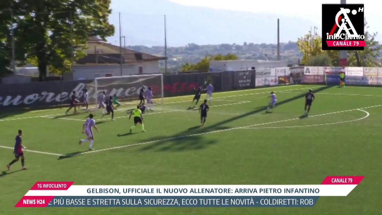 Tg InfoCilento 14 ottobre 2026, edizione delle 19:55